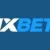 1XBET